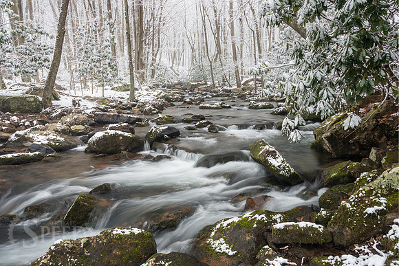 Cascades Winter