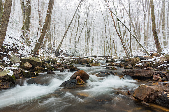 Cascades Winter
