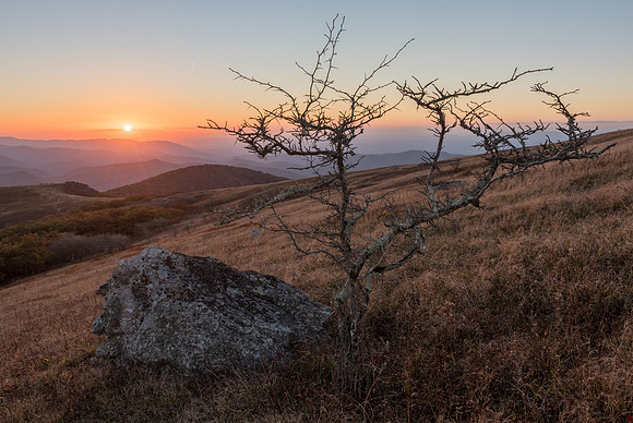 Whitetop Mountain Sunset