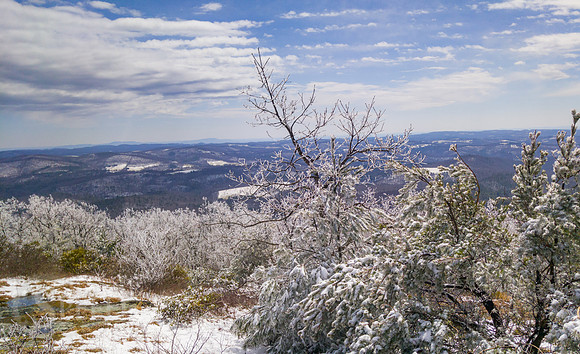 Buffalo Mountain Winter Hike