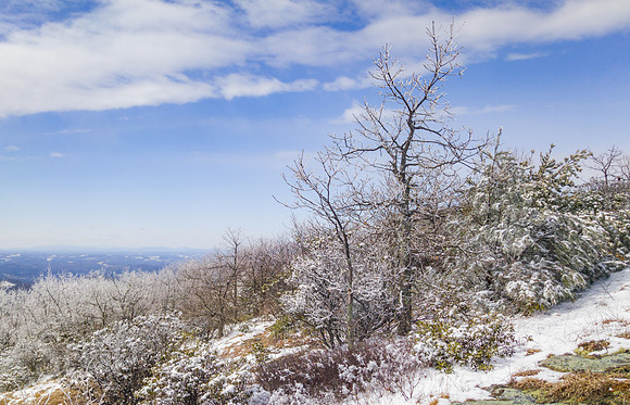 Buffalo Mountain Winter Hike