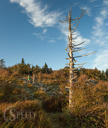 Grayson Highlands State Park