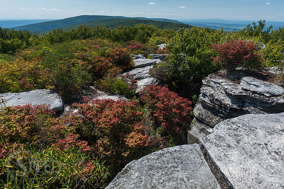 The Channels of Virginia