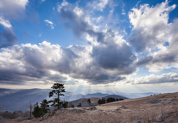 WhiteTop Mountain