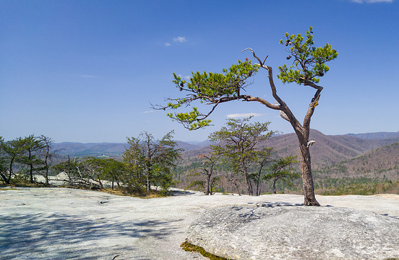 Early Spring hike in Stone Mountain State Park
