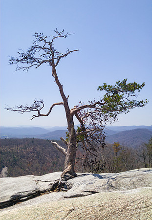 Early Spring hike in Stone Mountain State Park
