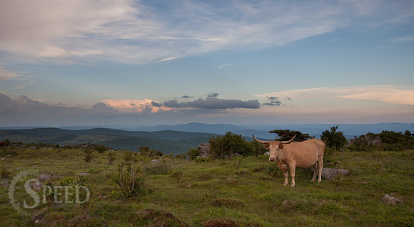 Grayson Highlands State Park