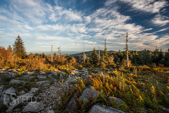 Grayson Highlands State Park