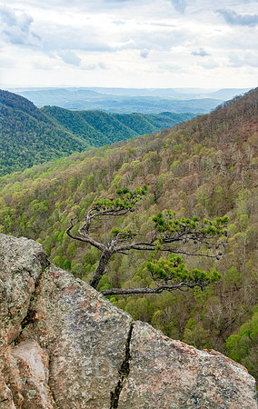 Barneys Wall Hike