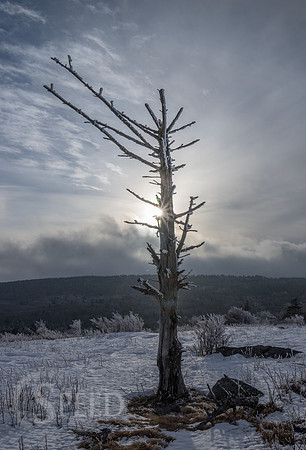 Grayson Highlands Winter