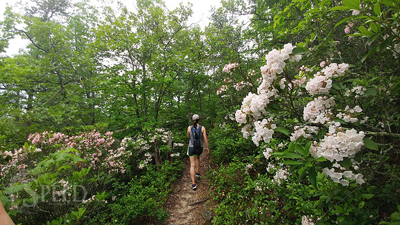 Hay Rock Hike