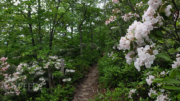 Hay Rock Hike
