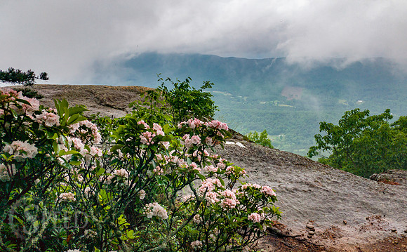Tinker Cliffs Hike