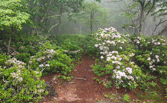 Tinker Cliffs Hike