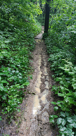 Tinker Cliffs Hike