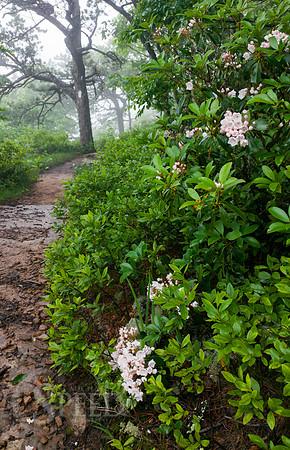 Tinker Cliffs Hike