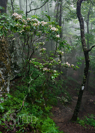 Tinker Cliffs Hike