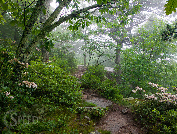 Tinker Cliffs Hike