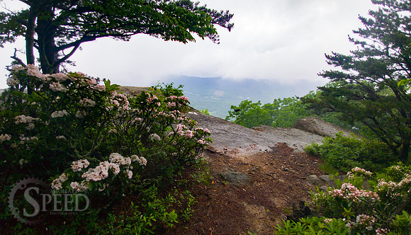 Tinker Cliffs Hike