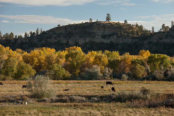 Yellowstone River