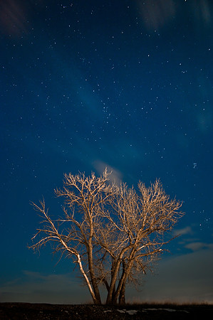 Night Sky near Billings