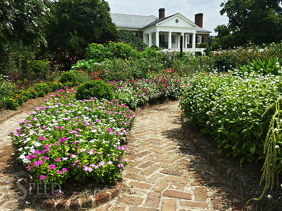 Boone Hall Plantation