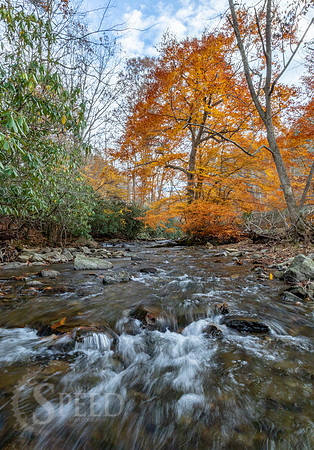 Indian Valley Virginia