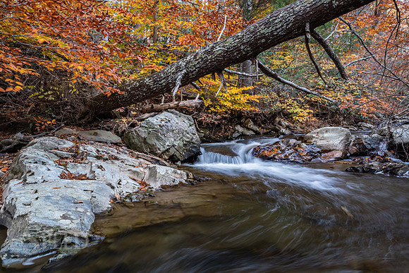 Indian Valley Virginia