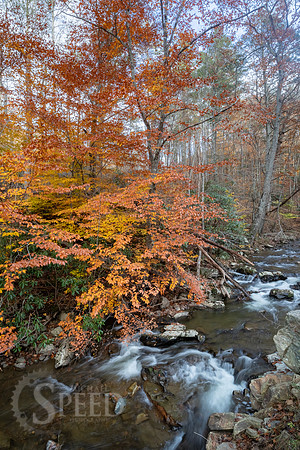 Indian Valley Virginia