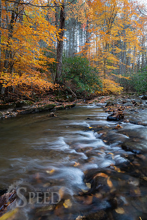Indian Valley Virginia