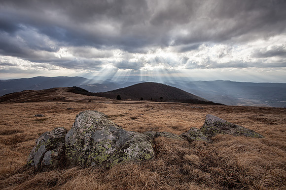 WhiteTop Mountain