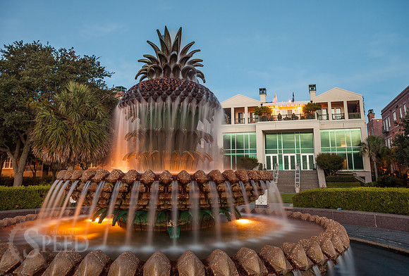 Pineapple Fountain Charleston