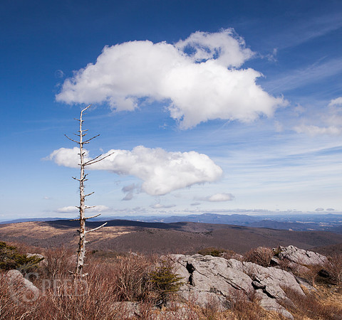 Grayson Highlands State Park