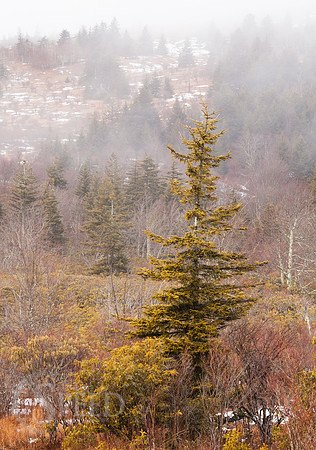 Grayson Highlands State Park