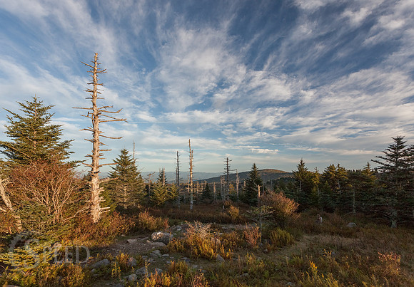 Grayson Highlands State Park
