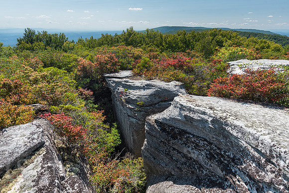 The Channels of Virginia