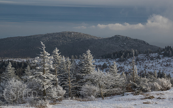 Grayson Highlands Winter