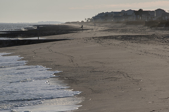 Edisto Island Beach and State Park