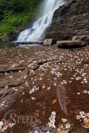 Virginia Cascades