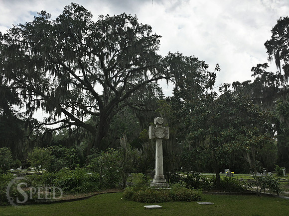 Savannah graveyard