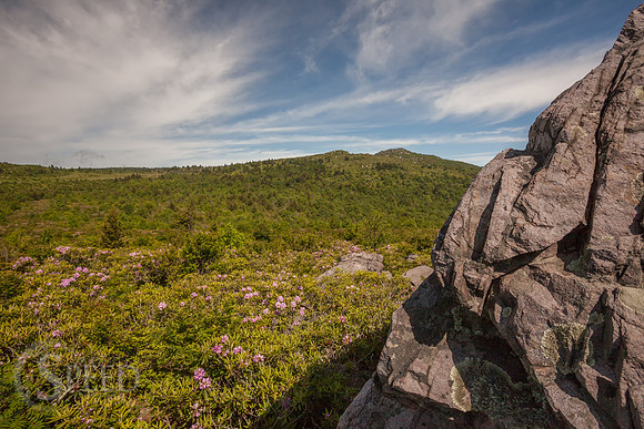 Grayson Highlands State Park