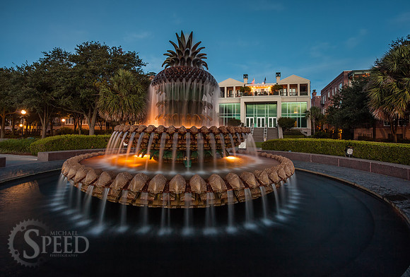 Pineapple Fountain Charleston