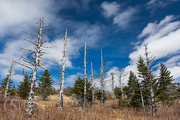 Scenic View on Appalachian Trail