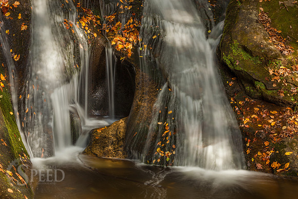 Stone Mountain State Park North Carolina