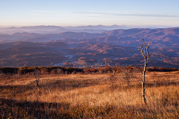 WhiteTop Mountain
