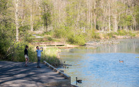 Springtime at Pandapas Pond
