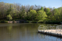 Springtime at Pandapas Pond