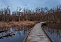 Pandapas Pond