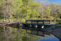 Springtime at Pandapas Pond
