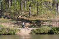 Springtime at Pandapas Pond